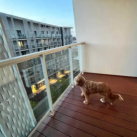 Family House By The River Odra -Panoramic Terrace - 3Room Apartment With 2 Separate Bedrooms And 2 Balconies By Wroapart-Pl- Perfect For Family & Business Stays Breslavia Exterior foto
