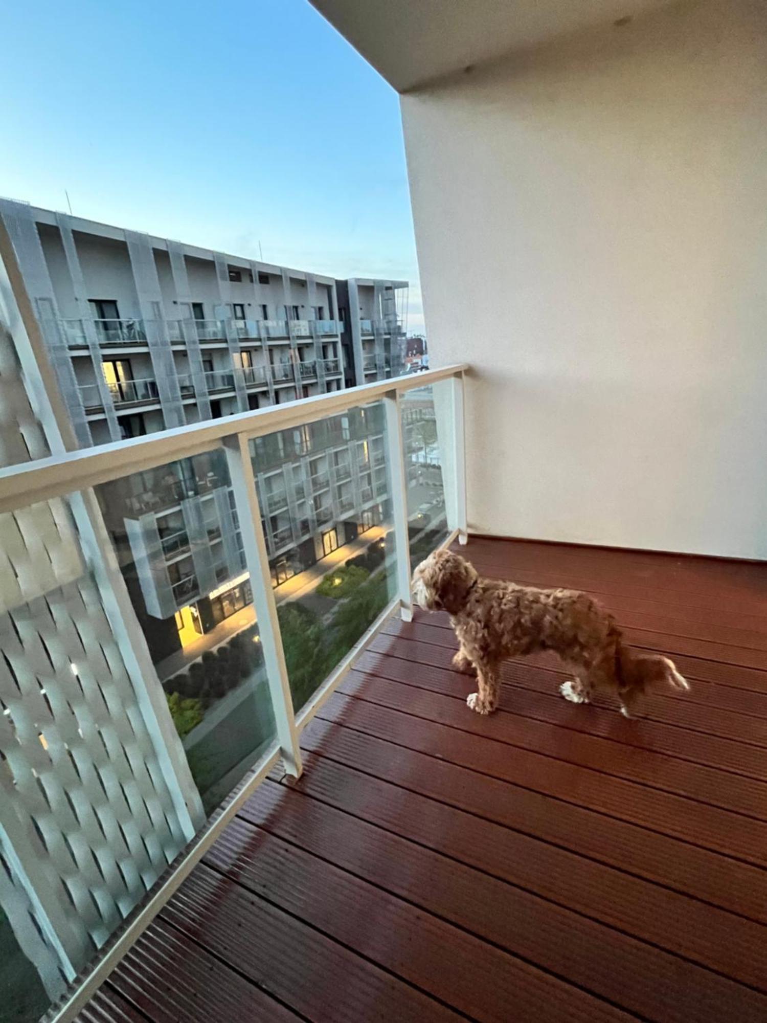 Family House By The River Odra -panoramic Terrace - 3room With 2 Separate Bedrooms And 2 Balconies By Wroapart-pl- Perfect For Family & Business Appartamento *